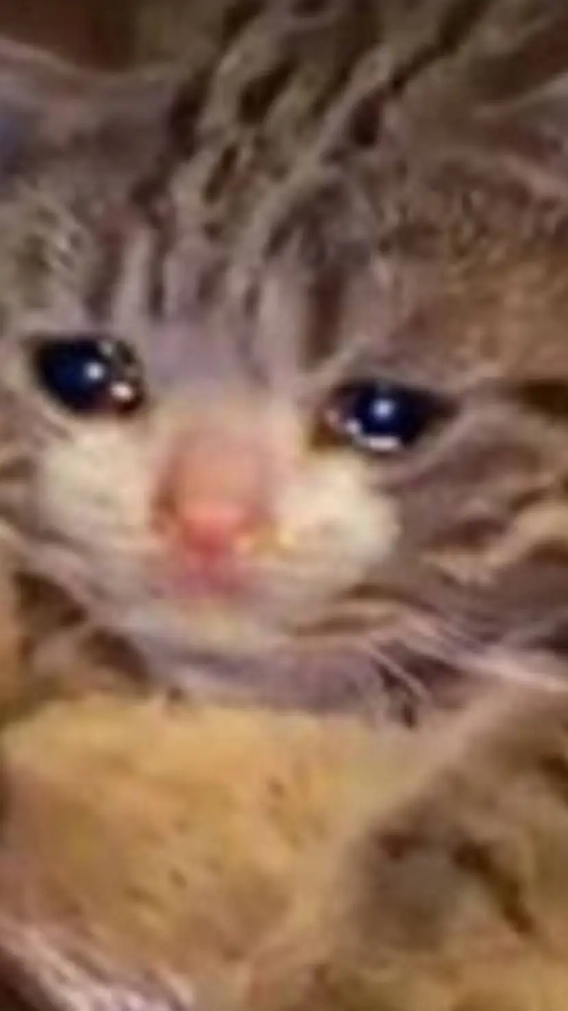 ai character: AVA background