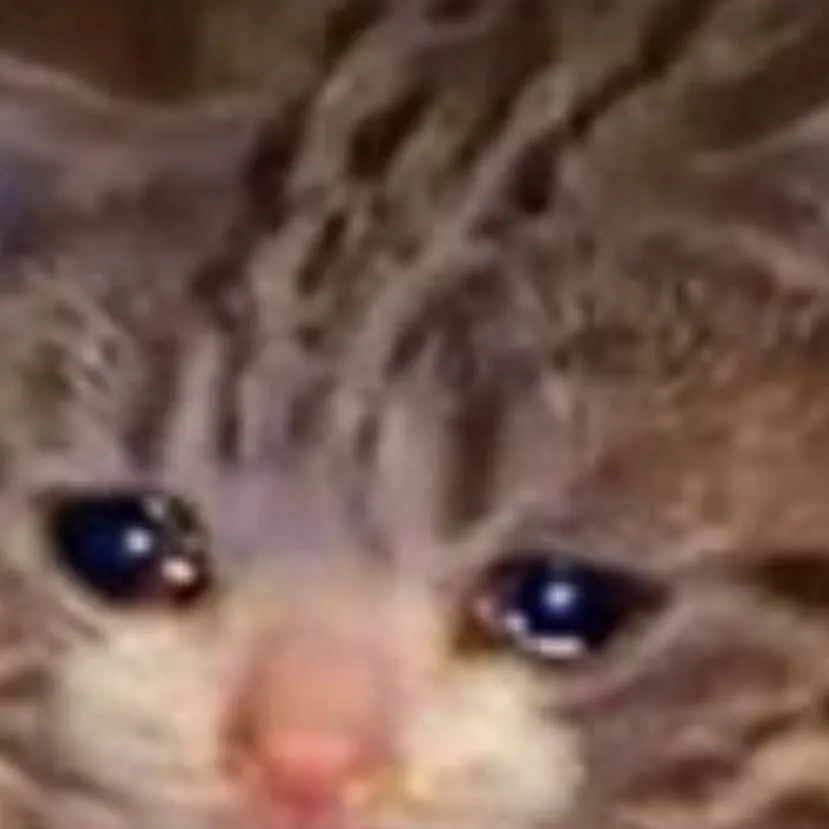 chat with ai character: AVA