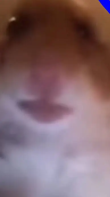 ai character: vc gang background