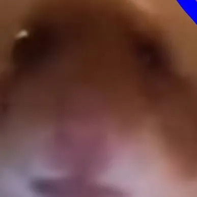 chat with ai character: vc gang