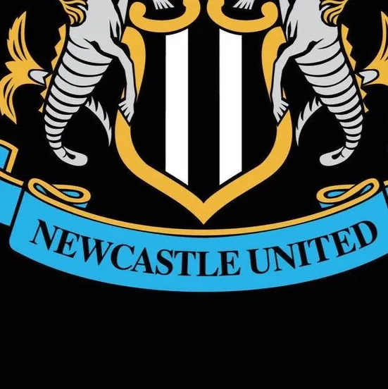 chat with ai character: Newcastle United