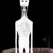 chat with ai character: doctor nowhere rp!