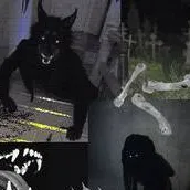 chat with ai character: Brutus song