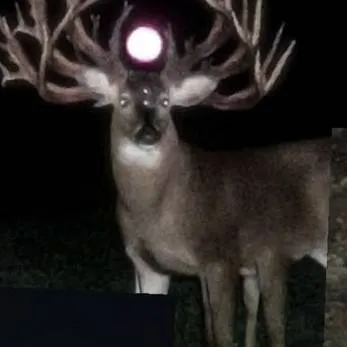 chat with ai character: run away 