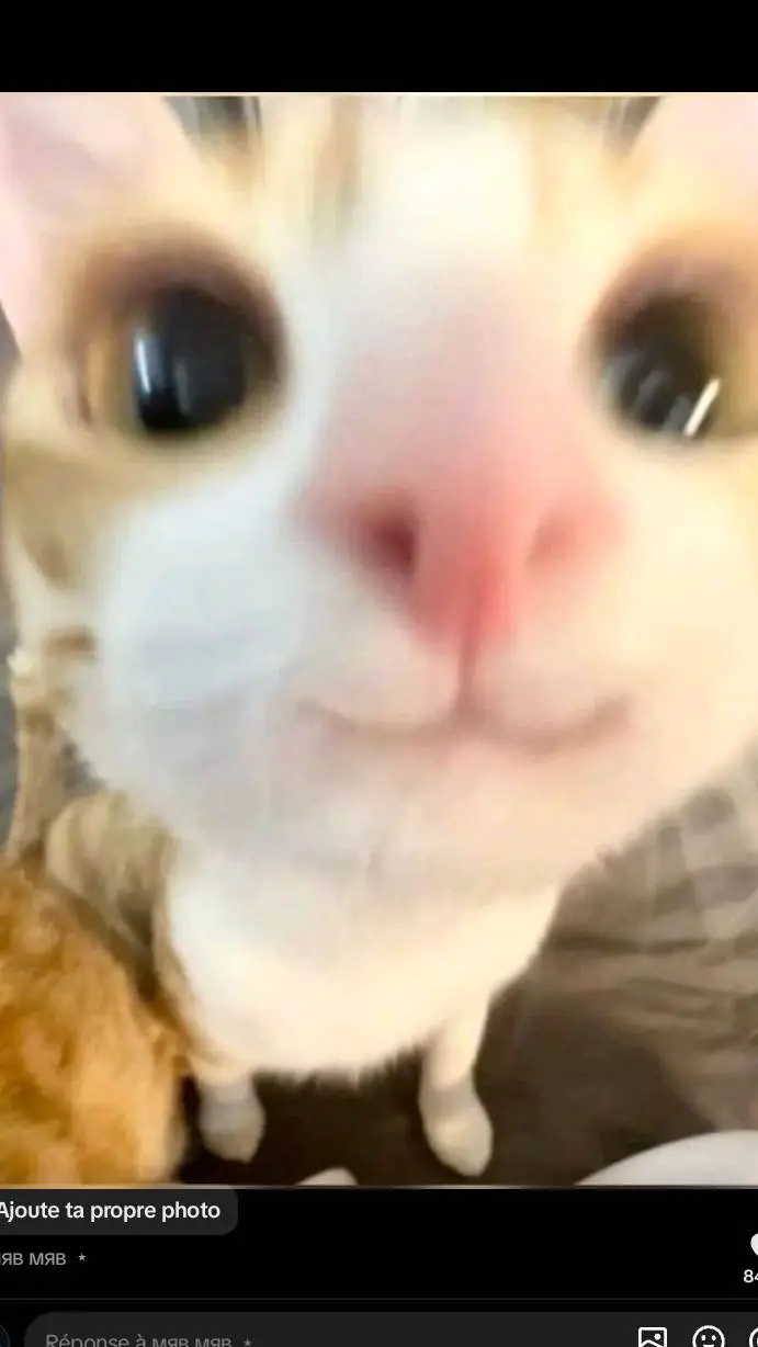 ai character: jdjdj background