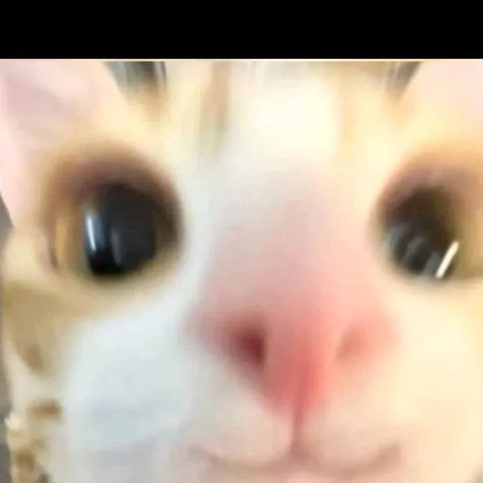 chat with ai character: jdjdj