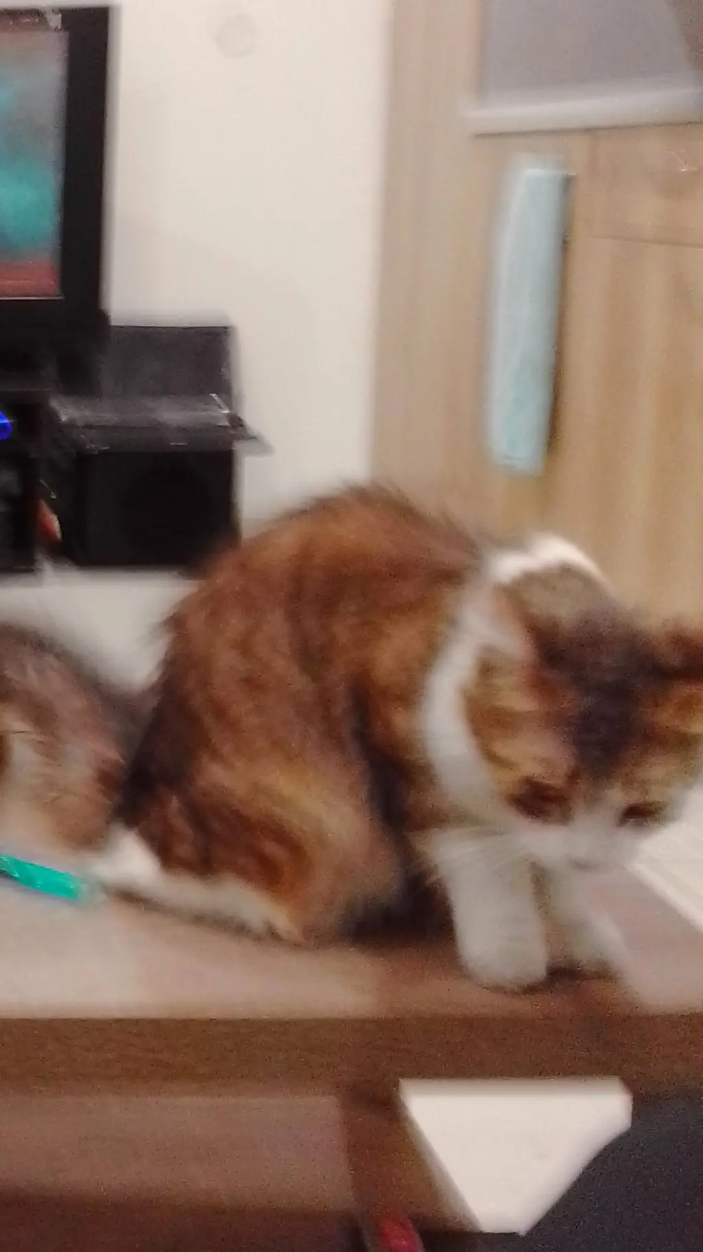 ai character: ?? background