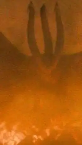 ai character: KING GHIDORAH/ME background