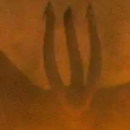 chat with ai character: KING GHIDORAH/ME