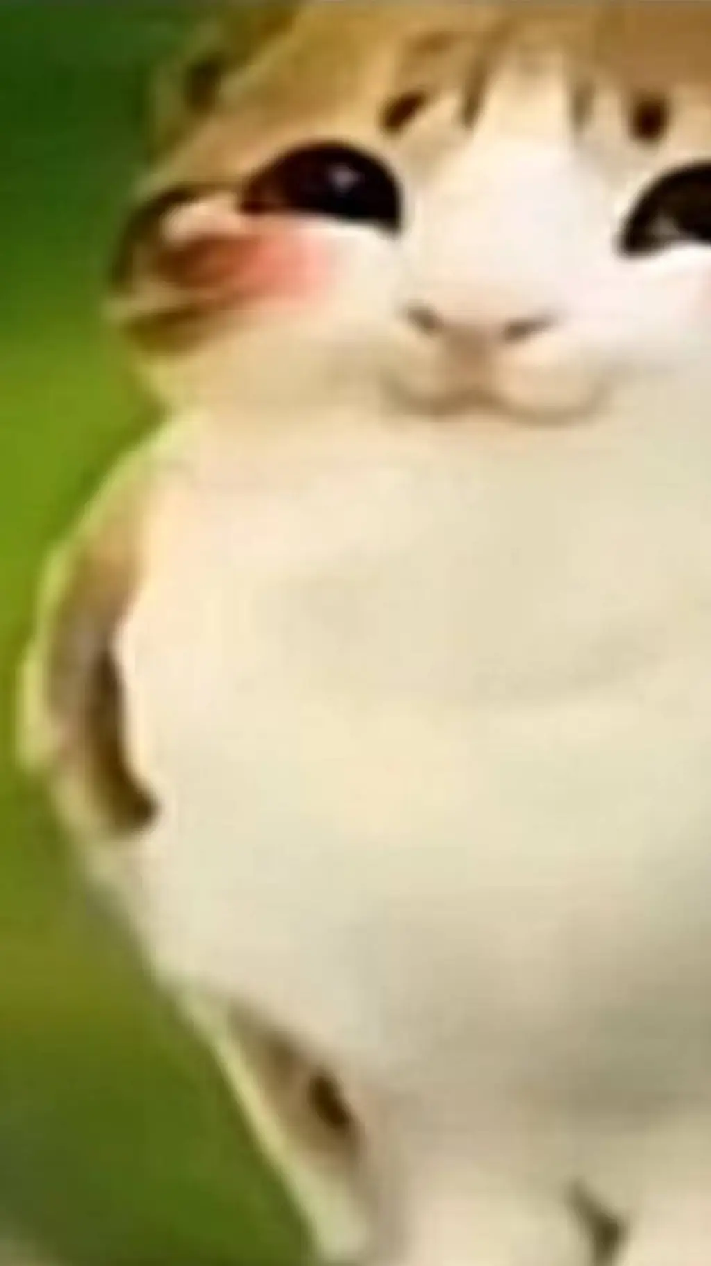 ai character: Solarballs GC!  background