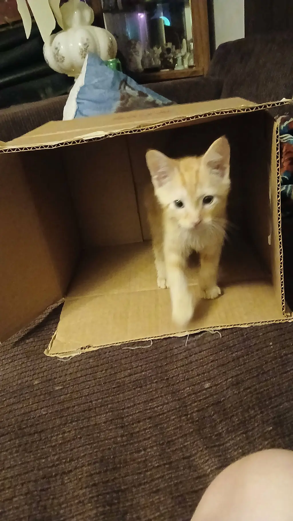 ai character: kpdh background