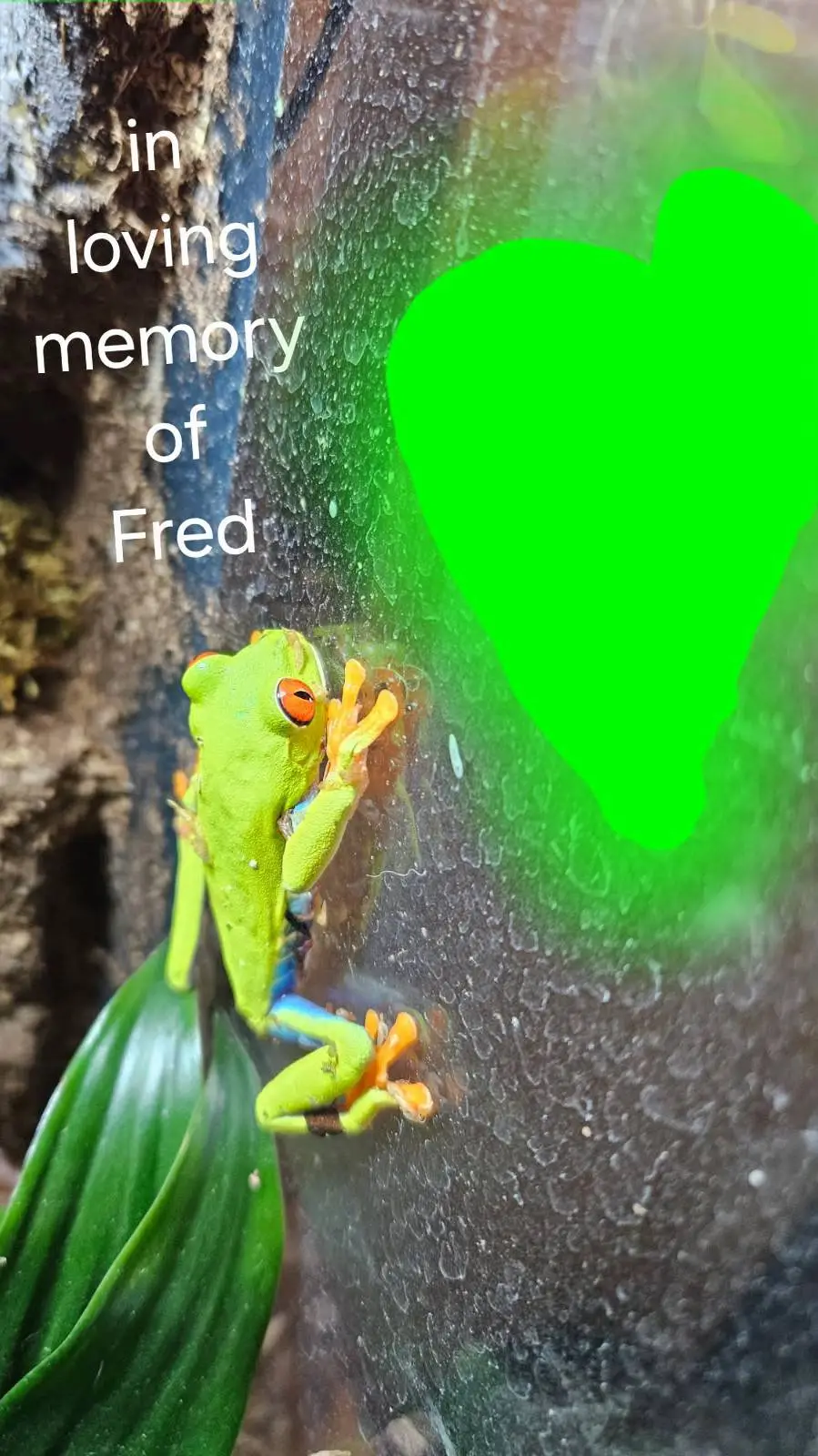 ai character: kpdh period background