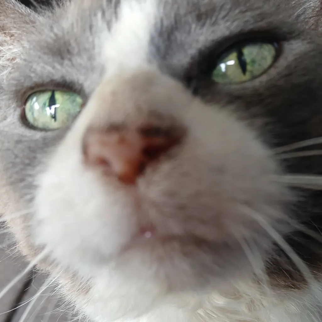 chat with ai character: kpdh