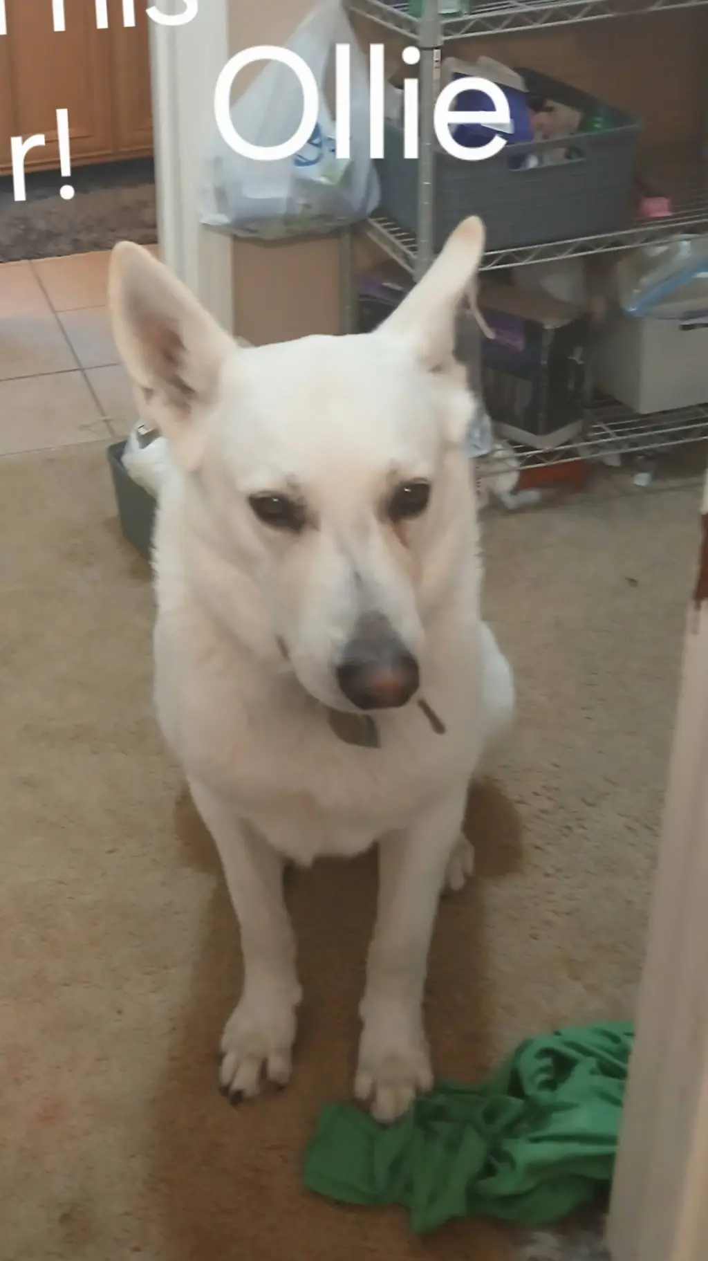 ai character: kpdh but ur a baby background