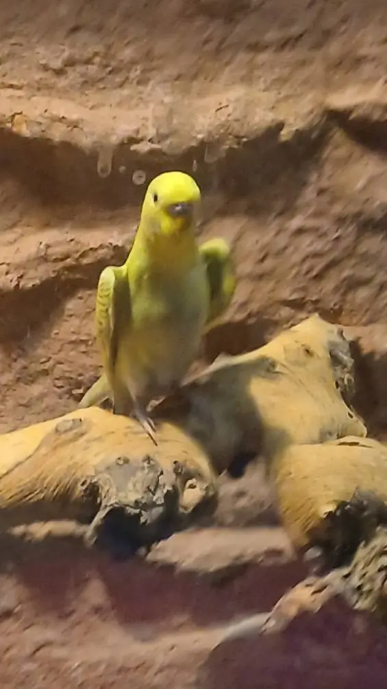 ai character: Eminem background