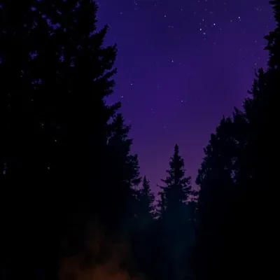 chat with ai character: Friends at a fire