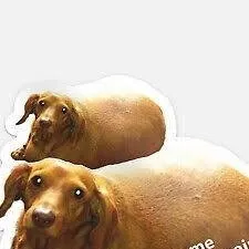 chat with ai character: Don't Talk Meme