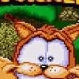 chat with ai character: Bubsy
