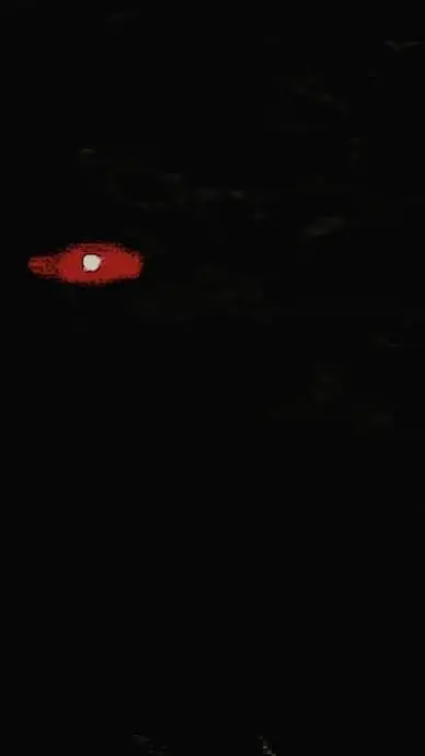 ai character: yo background