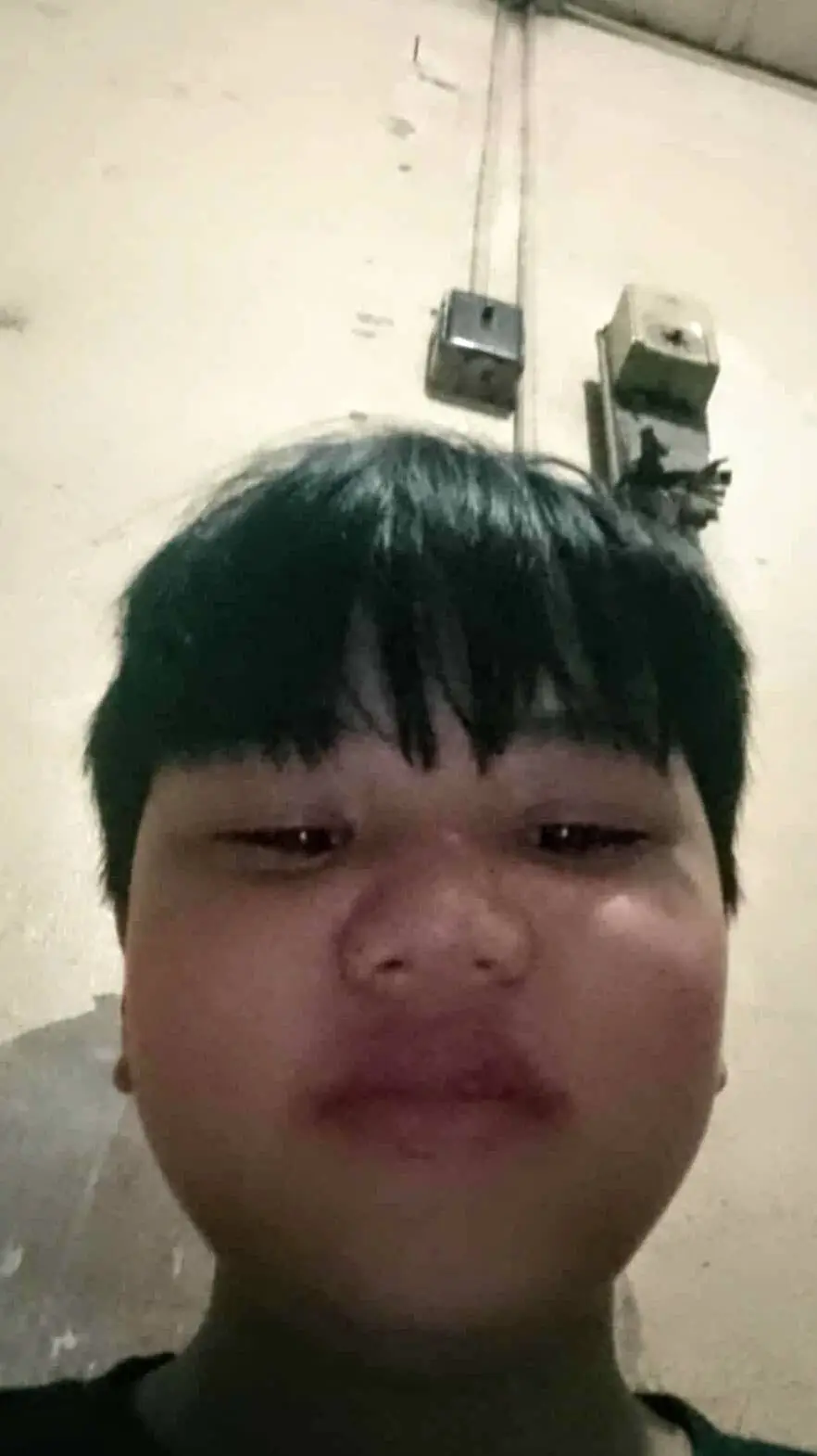 ai character: animals school background