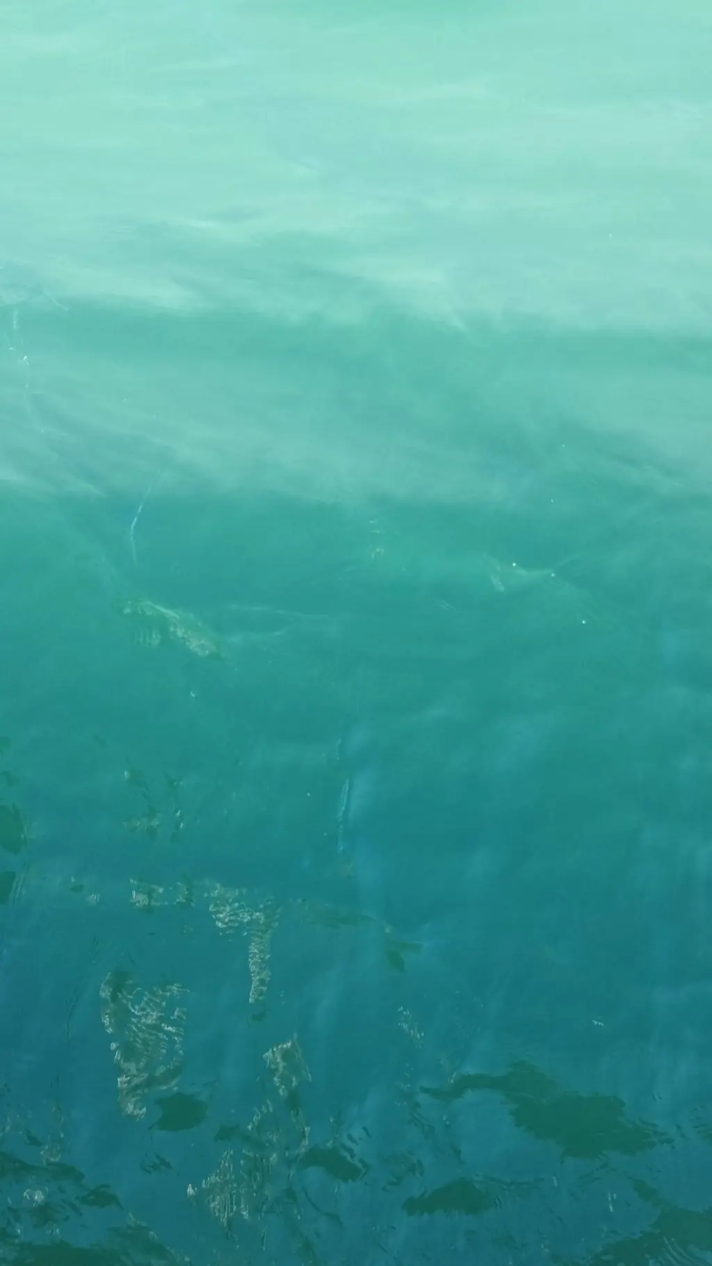 ai character: ☆Vee☆ background