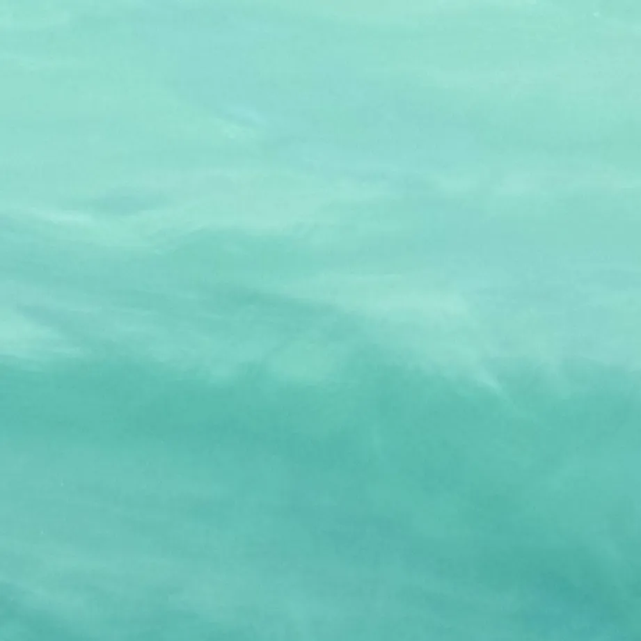 chat with ai character: ☆Vee☆