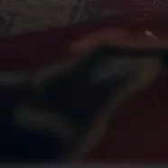 chat with ai character: CB/CH doors