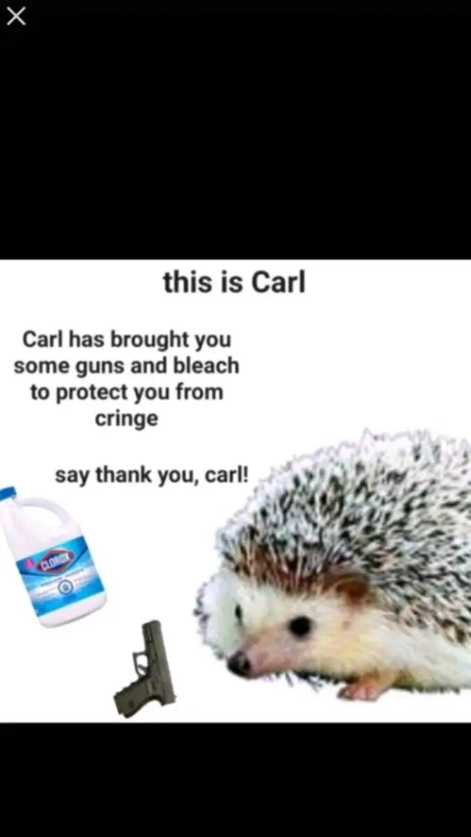 ai character: Carl background