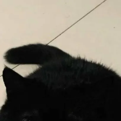 chat with ai character: ˚₊·—̳͟͞͞♡AWAKE! 