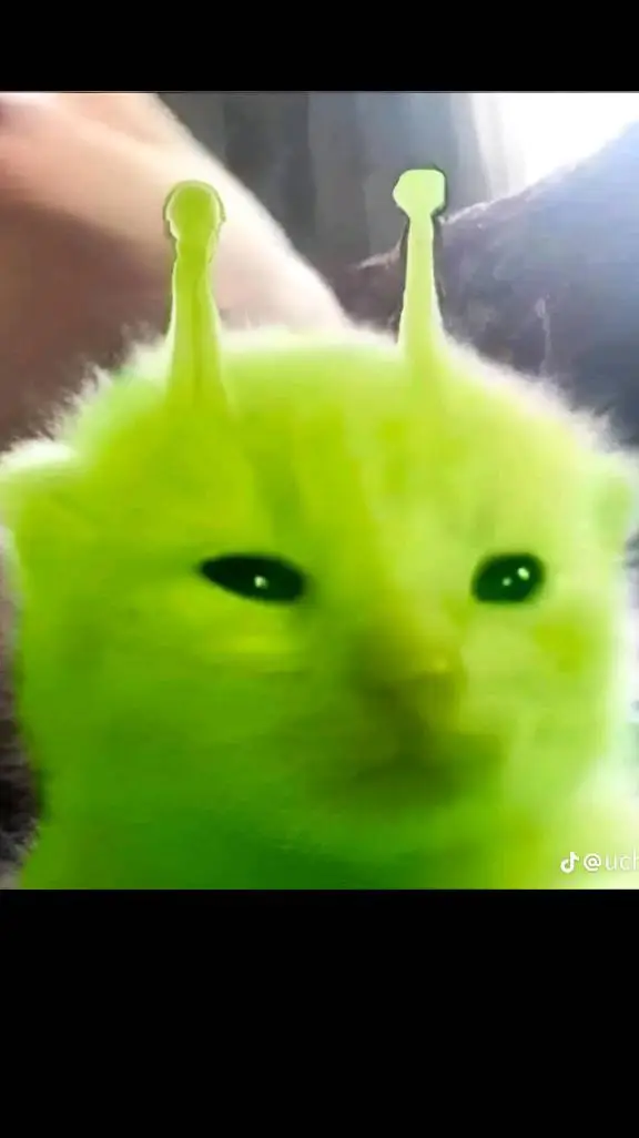 ai character: alien cat background