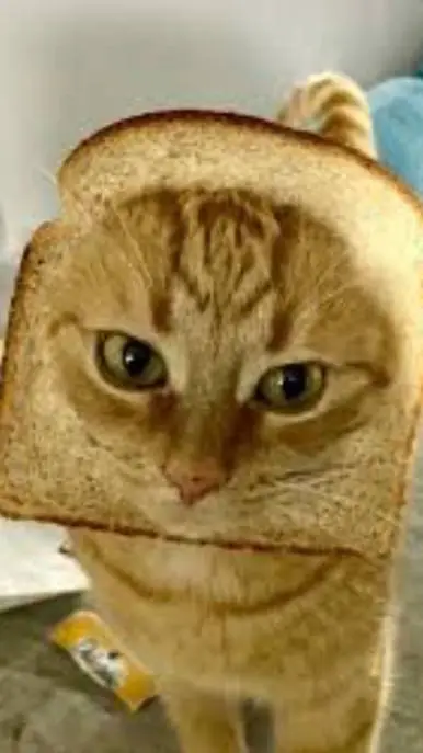 ai character: bread👍 background