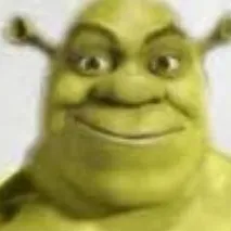 chat with ai character: SHREK INVASION