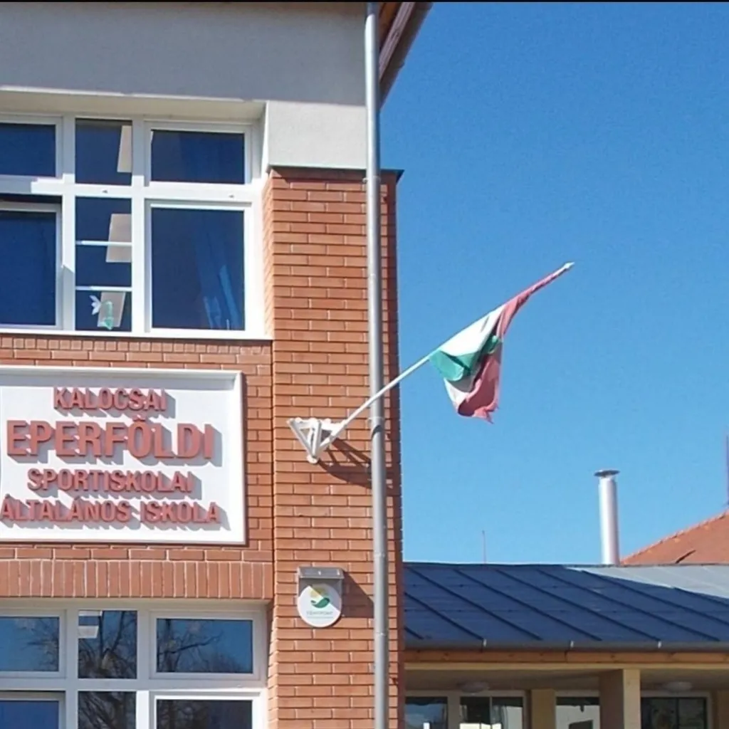 chat with ai character: Eperföldi Suli