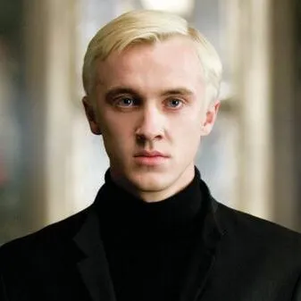 chat with ai character: Malfoy