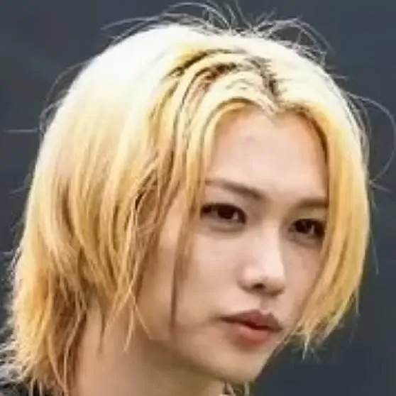 chat with ai character: 🐥F E L I X Felix🐥