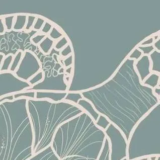 chat with ai character: summer