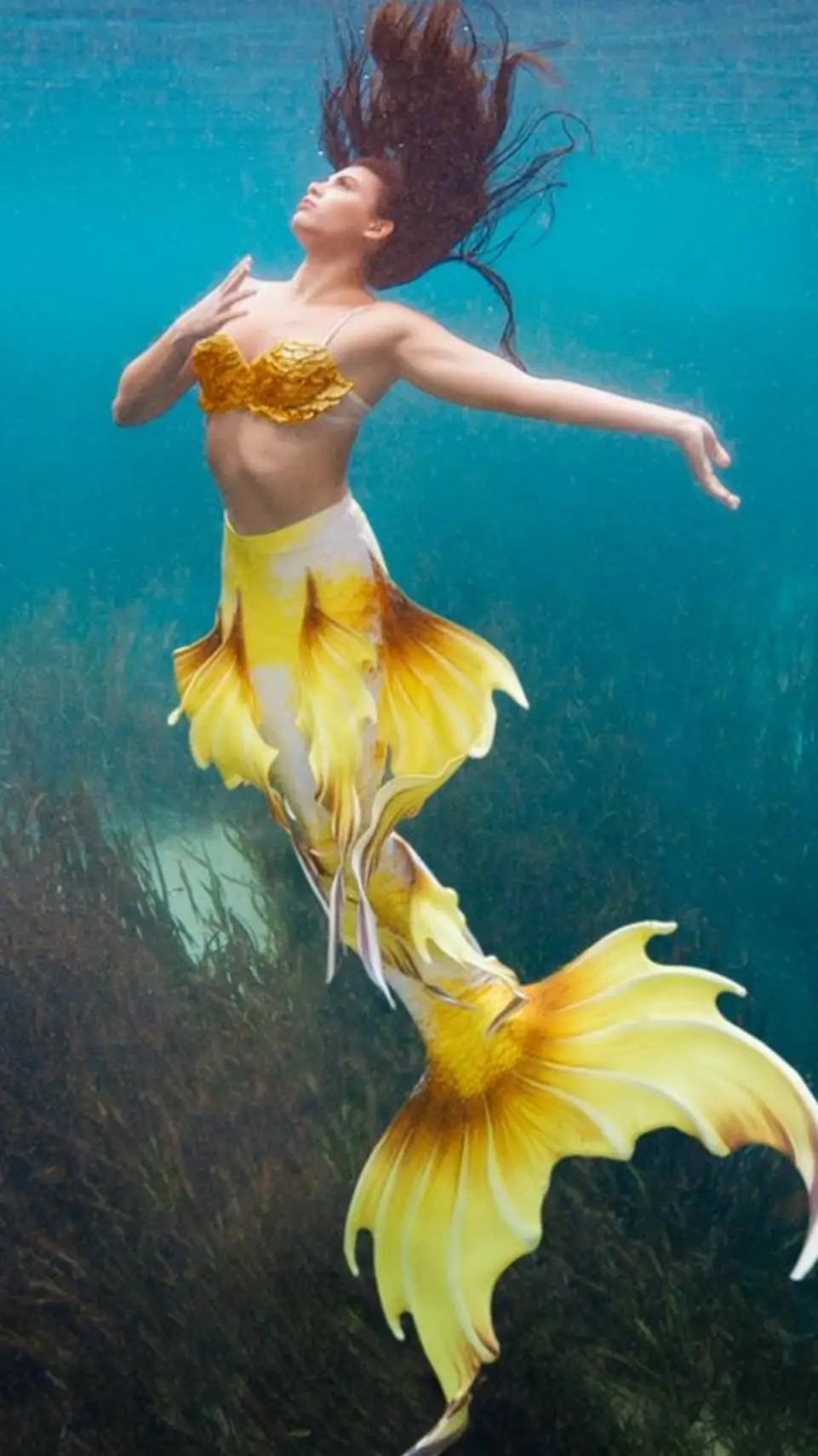 ai character: ʂƈαʅҽʂ σϝ ʂҽα 🌊 background