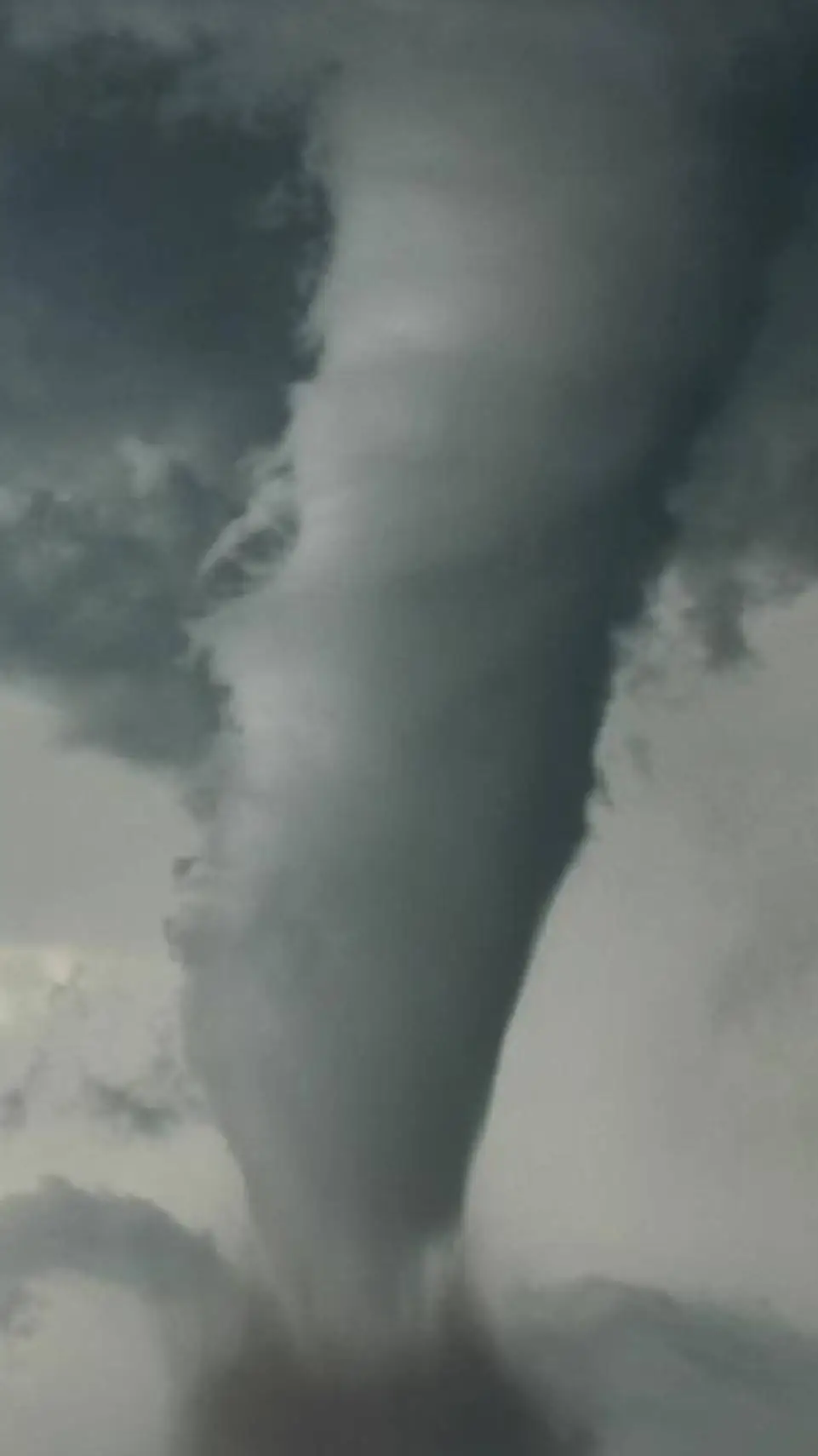 ai character: 🌪WISTERS background