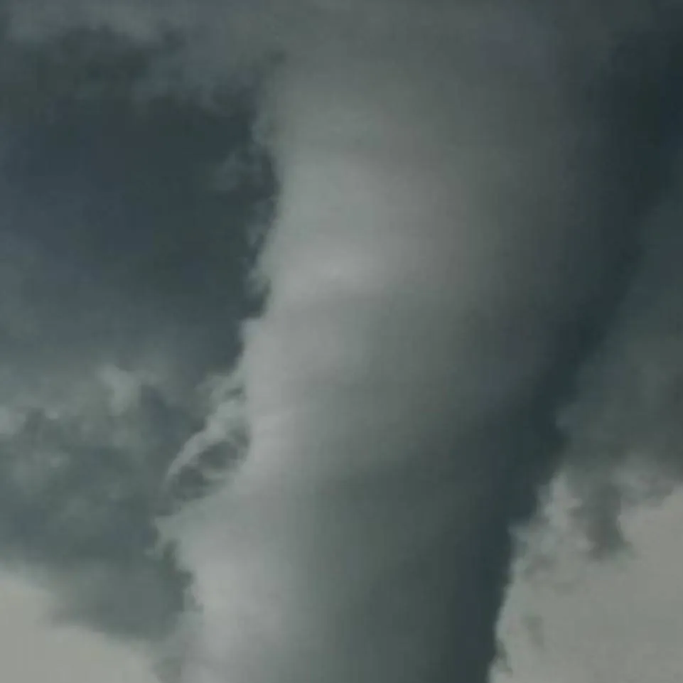 chat with ai character: 🌪WISTERS