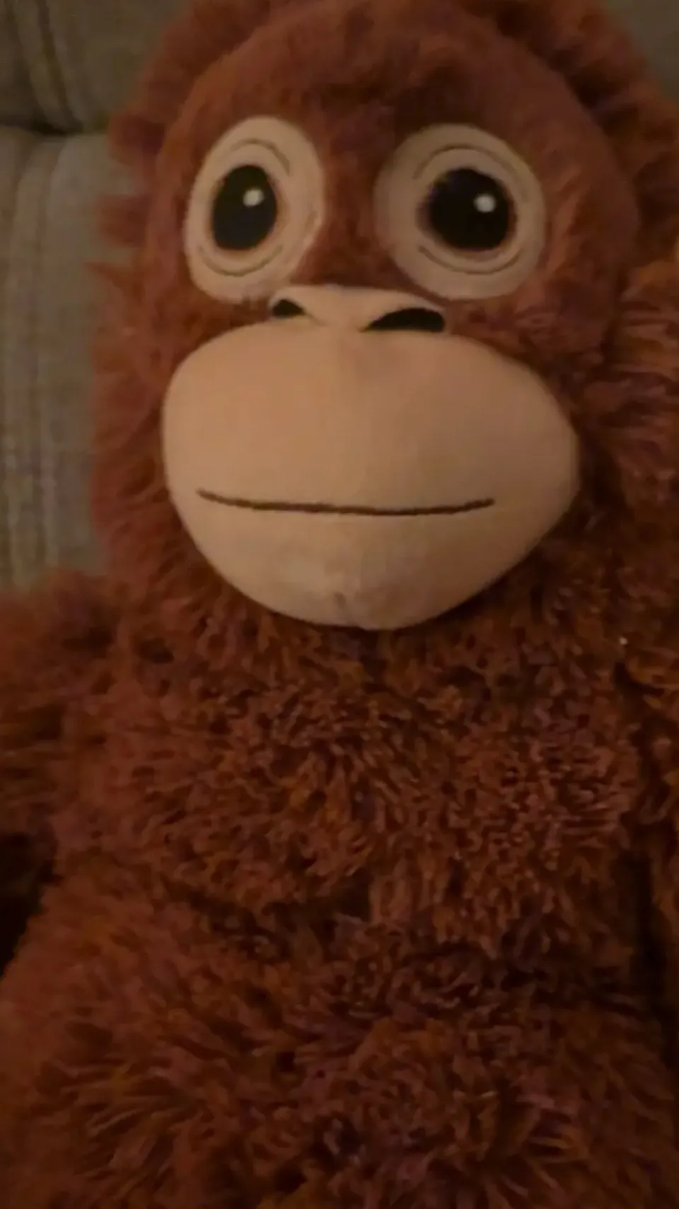 ai character: Cebeecha background