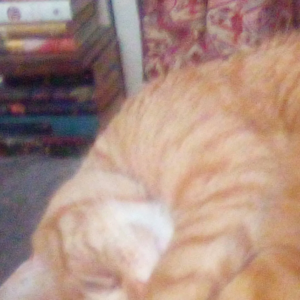 chat with ai character: sanegiyu u choose