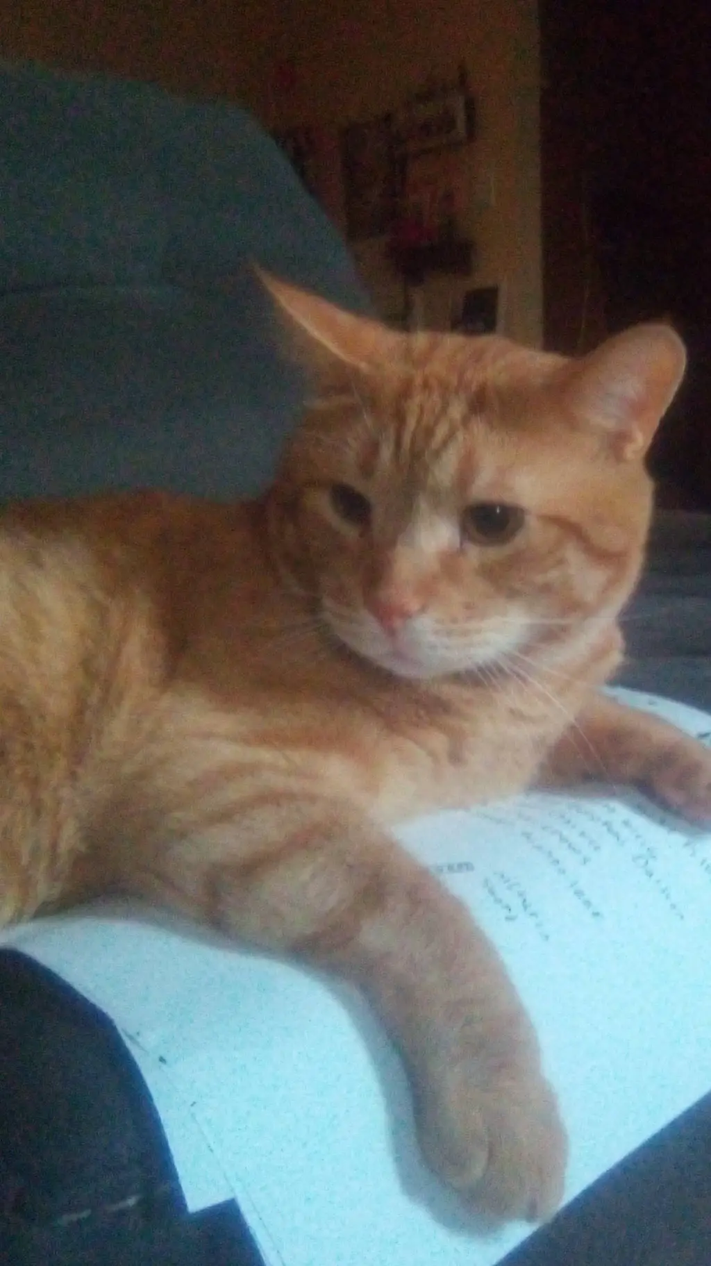 ai character: kny adhd background