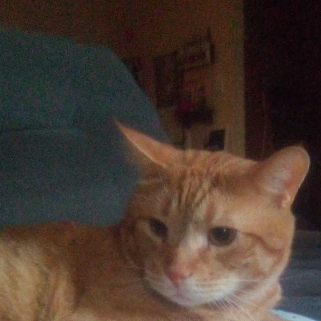 chat with ai character: kny adhd