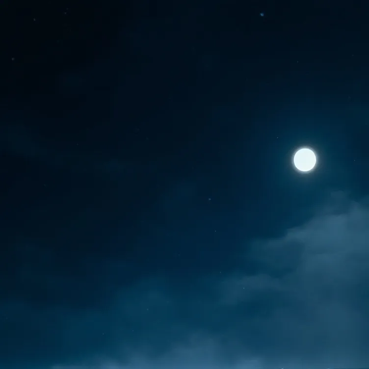 chat with ai character: water battle!