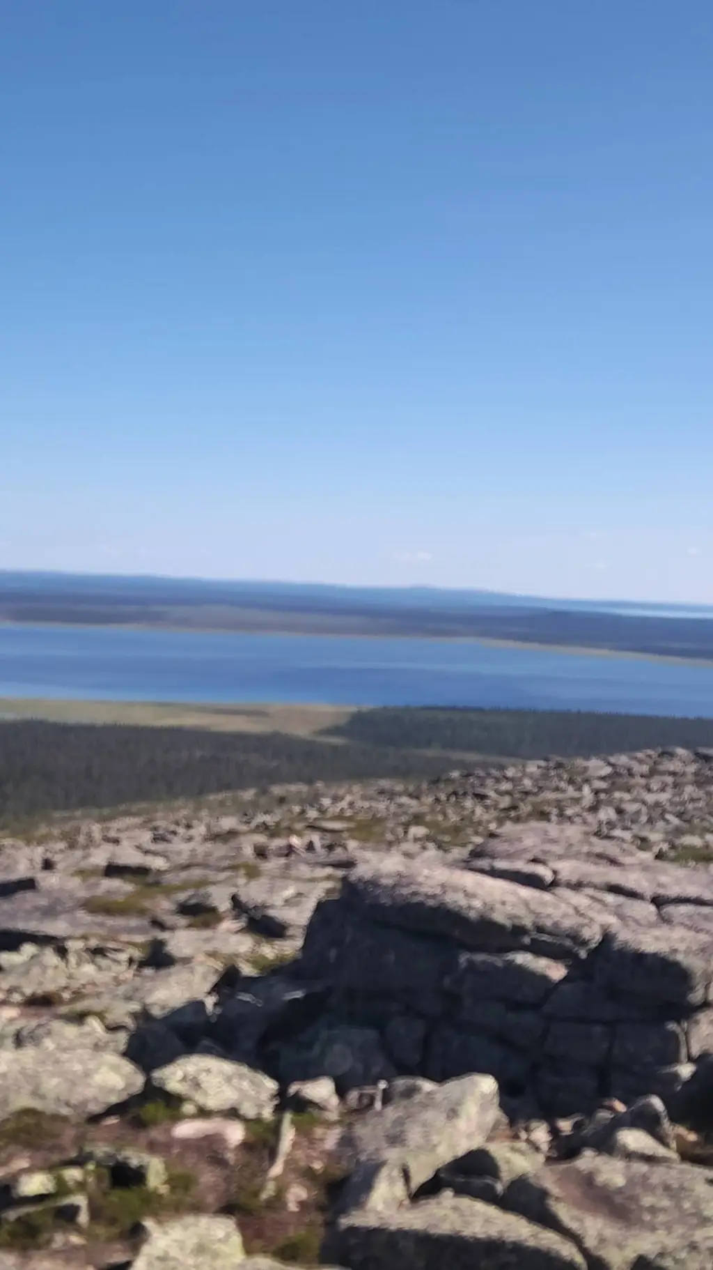 ai character: ?  background