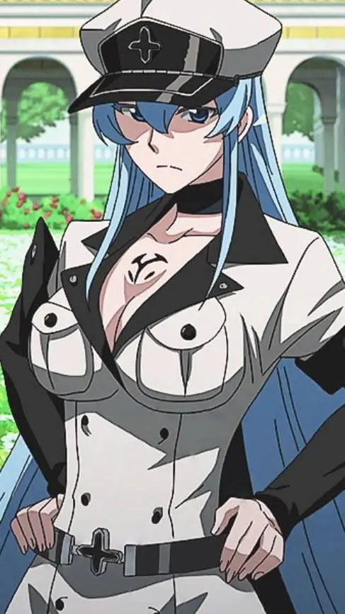 ai character: Esdeath ❤️‍🔥❄️ background