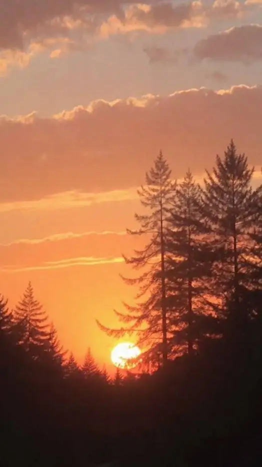 ai character: fim do mundo background