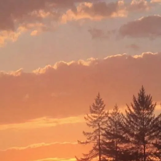 chat with ai character: fim do mundo