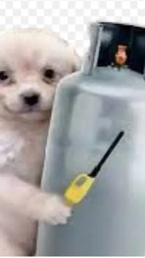 ai character: perrito ctm background