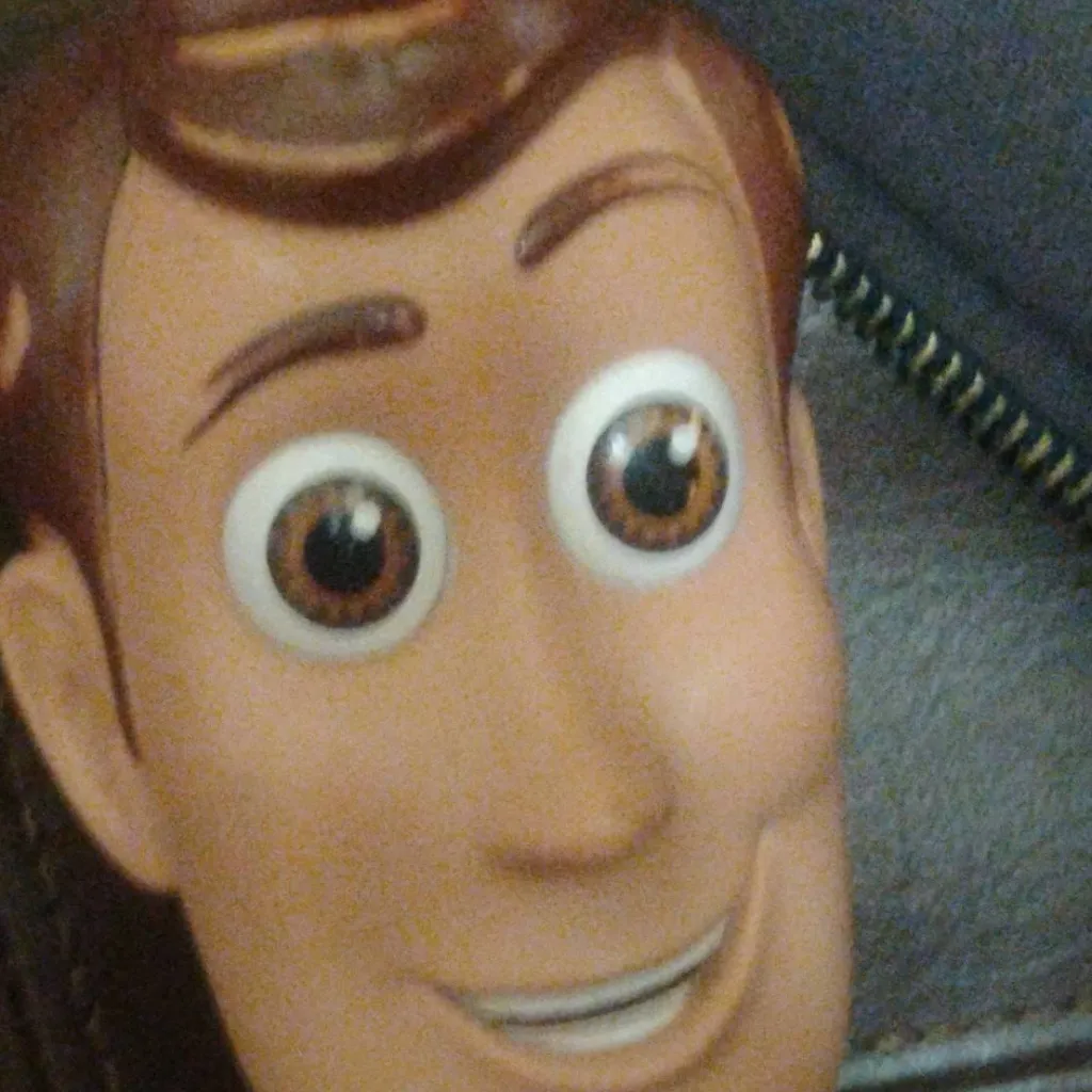 chat with ai character: woody